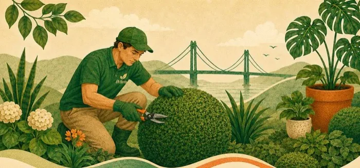 Ilustração editorial de um jardineiro cuidando de plantas com a ponte de Florianópolis ao fundo.